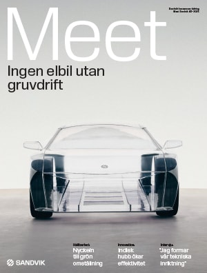 Bild p&aring; omslaget av m&ouml;t sandvik