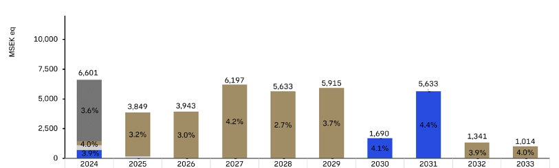 Bar chart showing the loan maturity profile September 30 2024.