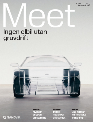 Bild p&aring; omslaget av m&ouml;t sandvik